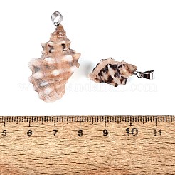 Brass & Natural Spiral Shell Pendants&nbsp;SHEL-Q029-23P