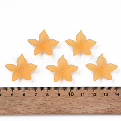Transparent Acrylic Beads&nbsp;MACR-S373-127-D05