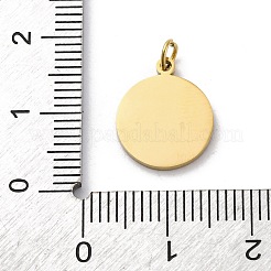 304 Stainless Steel Charms&nbsp;STAS-E550-26G