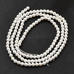 Electroplated Shell Pearl Beads Strands&nbsp;BSHE-K017-2.5mm