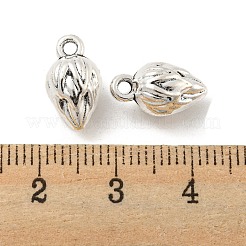 Tibetan Style Alloy Charms&nbsp;FIND-M011-05AS