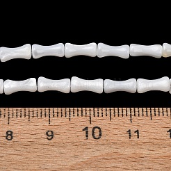 Natural Freshwater Shell Beads Strands&nbsp;SH-CBA2978-13