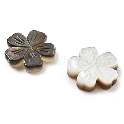 Natural Black Shell Carved Beads&nbsp;SSHEL-Z002-02B