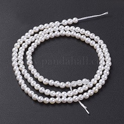 Shell Pearl Bead Strands&nbsp;BSHE-P023-5mm
