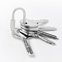 8Pcs 8 Styles 304 Stainless Steel Screw Carabiner Lock Charms&nbsp;AJEW-AN0007-13