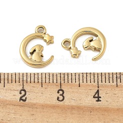 304 Stainless Steel Charms&nbsp;STAS-L022-451G