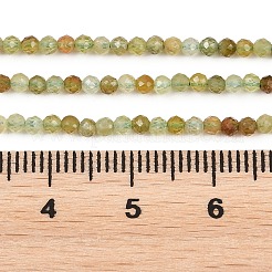 Natural Green Garnet Beads Strands&nbsp;G-B181-A01-2mm
