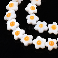 Natural White Shell Beads Strands&nbsp;SHEL-N003-30