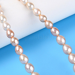 Natural Cultured Freshwater Pearl Beads Strands&nbsp;PEAR-K003-21D