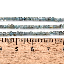 Natural Apatite Beads Strands&nbsp;G-RM2025-C01-A