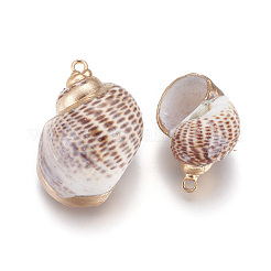 Electroplate Spiral Shell Pendants&nbsp;SSHEL-O019-26