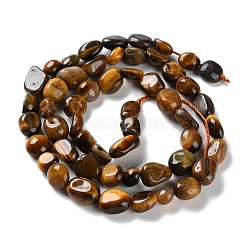 Natural Tiger Eye Beads Strands&nbsp;G-P497-01C-12