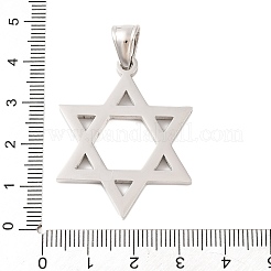 Non-Tarnish 316 Surgical Stainless Steel Pendants&nbsp;STAS-Z073-18P