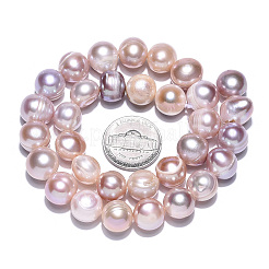 Natural Cultured Freshwater Pearl Beads Strands&nbsp;PEAR-N013-10B