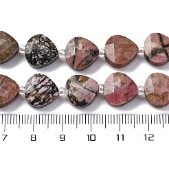 Natural Rhodonite Beads Strands&nbsp;G-P570-E03-02