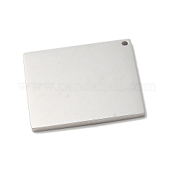 Non-Tarnish 304 Stainless Steel Pendants&nbsp;STAS-K270-20P