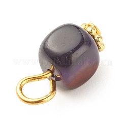 Natural Agate Pendants&nbsp;PALLOY-JF01586-05