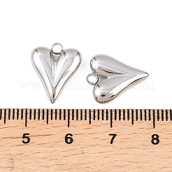 304 Stainless Steel Pendants&nbsp;STAS-P437-06P