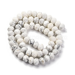 Natural Howlite Beads Strands&nbsp;G-K380-A10-01