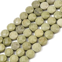 Natural Alashan Agate Beads Strands&nbsp;G-F812-B02-02