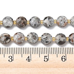 Natural Syenite Beads Strands&nbsp;G-K389-B86-01