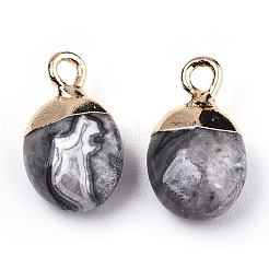 Natural Map Stone/Picasso Stone/Picasso Jasper Charms&nbsp;X-G-N326-58B