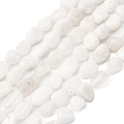 Natural Rainbow Moonstone Beads Strands&nbsp;G-K395-A12-02