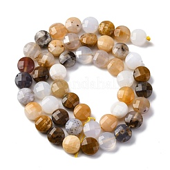 Natural Blue Chalcedony Beads Strands&nbsp;G-C179-A47-03