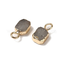 Natural Labradorite Rectangle Charms&nbsp;G-Q169-07G-11