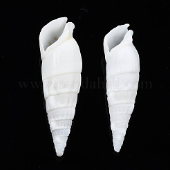 Natural Trochid Shell/Trochus Shell Beads&nbsp;SSHEL-N034-116