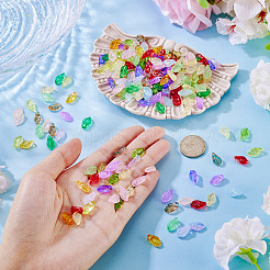 300Pcs 15 Colors Glass Beads&nbsp;GLAA-TA0003-77