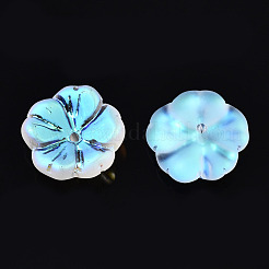 Transparent Frosted Glass Beads&nbsp;GLAA-Q089-003-D001