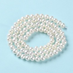 Natural Cultured Freshwater Pearl Beads Strands&nbsp;PEAR-E018-41