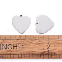 Tarnish Resistant 304 Stainless Steel Pendants&nbsp;STAS-I140-06S