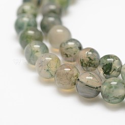 Natural Moss Agate Beads Strands&nbsp;X-G-F453-6mm