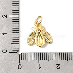 Brass Charms&nbsp;KK-I364-05G-05