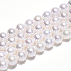 Natural Nucleated Pearl Beads Strands&nbsp;PEAR-N016-04A