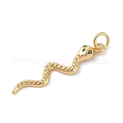 Brass Micro Pave Cubic Zirconia Pendants&nbsp;ZIRC-P121-03B-G