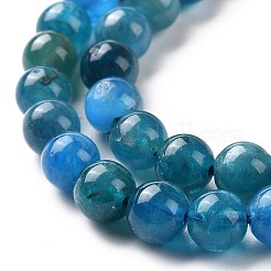 Natural Apatite Beads Strands&nbsp;G-J373-21-5.5mm-01