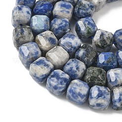 Natural Blue Spot Jasper Beads Strands&nbsp;G-C267-A20