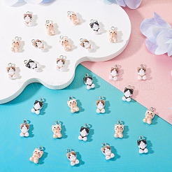 30Pcs Opaque Resin Pendants&nbsp;RESI-TA0004-94