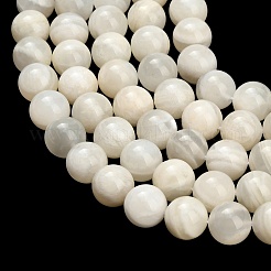 Natural White Moonstone Beads Strands&nbsp;G-L664-A01-10mm