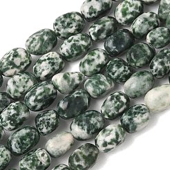Natural Green Spot Jasper Beads Strands&nbsp;G-C286-A03