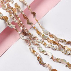 Drawbench Style Natural Freshwater Shell Beads Strands&nbsp;X-SHEL-F003-05
