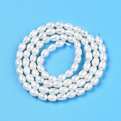 Natural Cultured Freshwater Pearl Beads Strands&nbsp;PEAR-N012-03N