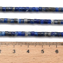 Natural Lapis Lazuli Beads Strands&nbsp;G-P608-A06-01
