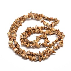 Natural Picture Jasper Chip Bead Strands&nbsp;X-G-M205-31