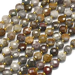 Natural Gobi Agate Beads Strands&nbsp;G-K389-B72-01