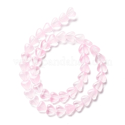 Transparent Glass Beads Strand&nbsp;GLAA-F112-01A