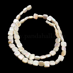 Electroplated Natural Freshwater Shell Beads Strands&nbsp;SH-CBA93AD-05
